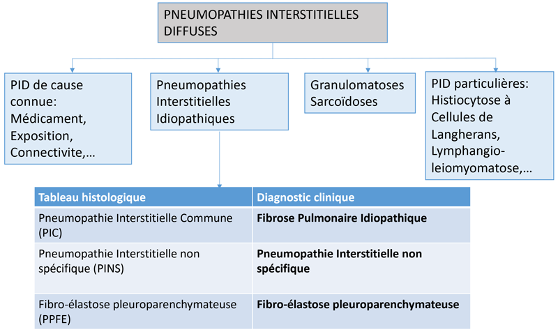 Art 2 Borie figure lettre de linternat 1