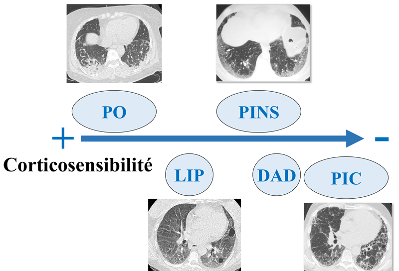 Art 2 Borie figure lettre de linternat 2