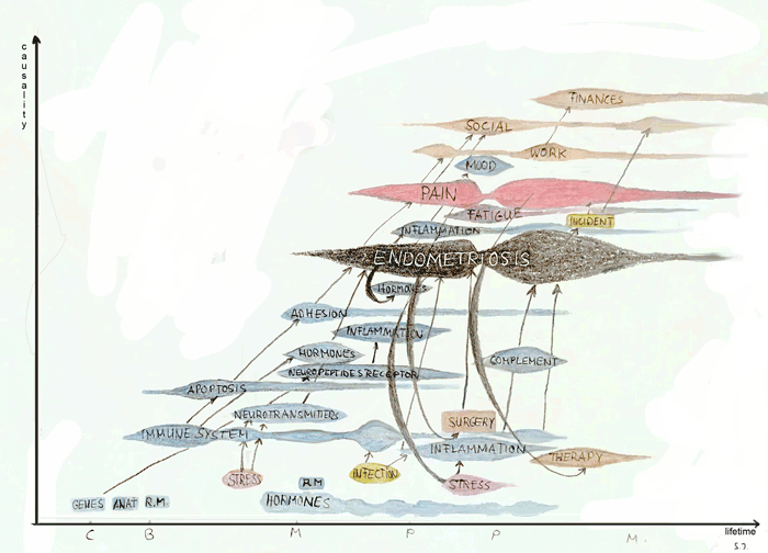 ART7 FIG1 Complexe Frau, Ilischer