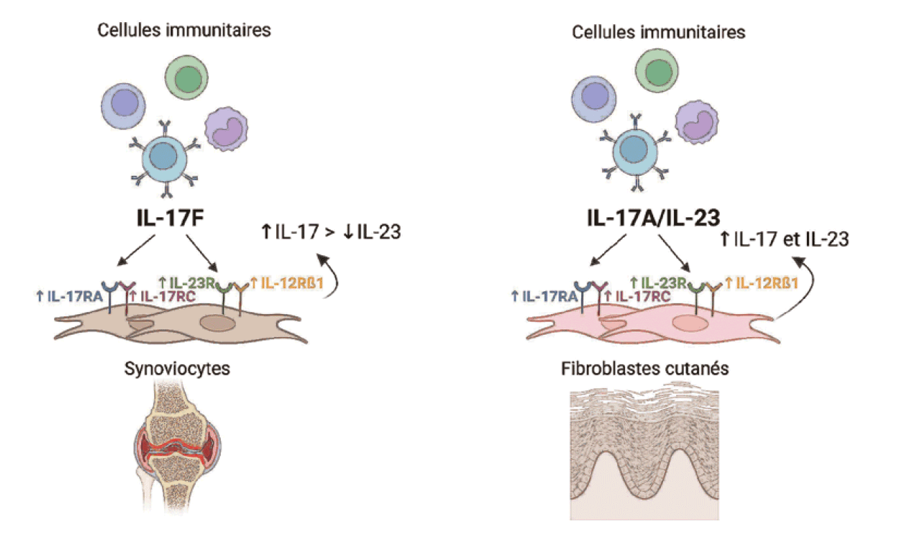111 ARTICLE2 FIG2
