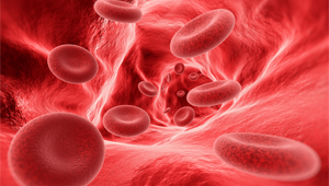 Utilisation du PRP dans la gonarthrose : état des lieux des recommandations