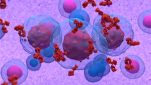 Nouveautés concernant le Myélome Multiple