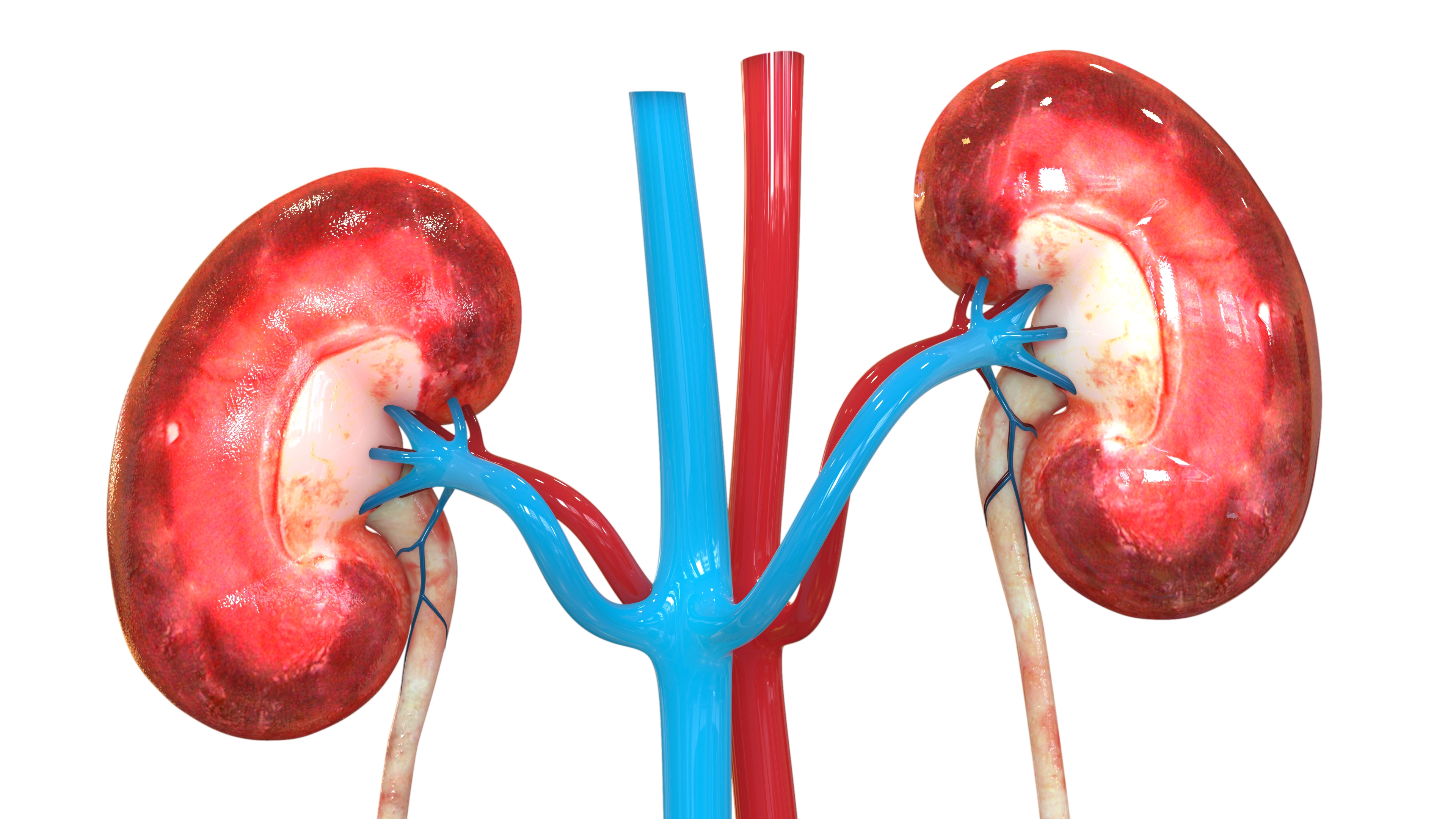 La chirurgie percutanée en France : évolutions, indications, innovations