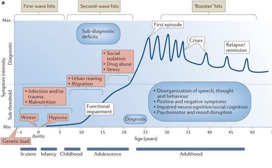 Fig.1 - Modèle stress vulnérabilité