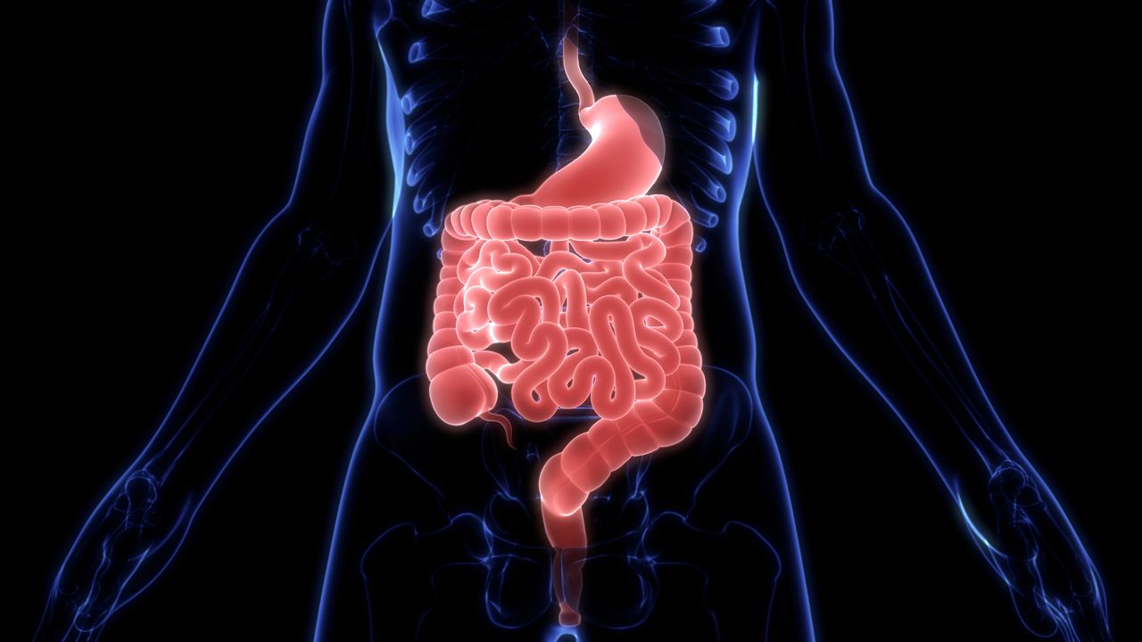 Illustration medicale - Hépato-gastroentérologie : Un exercice et une formation 4.0
